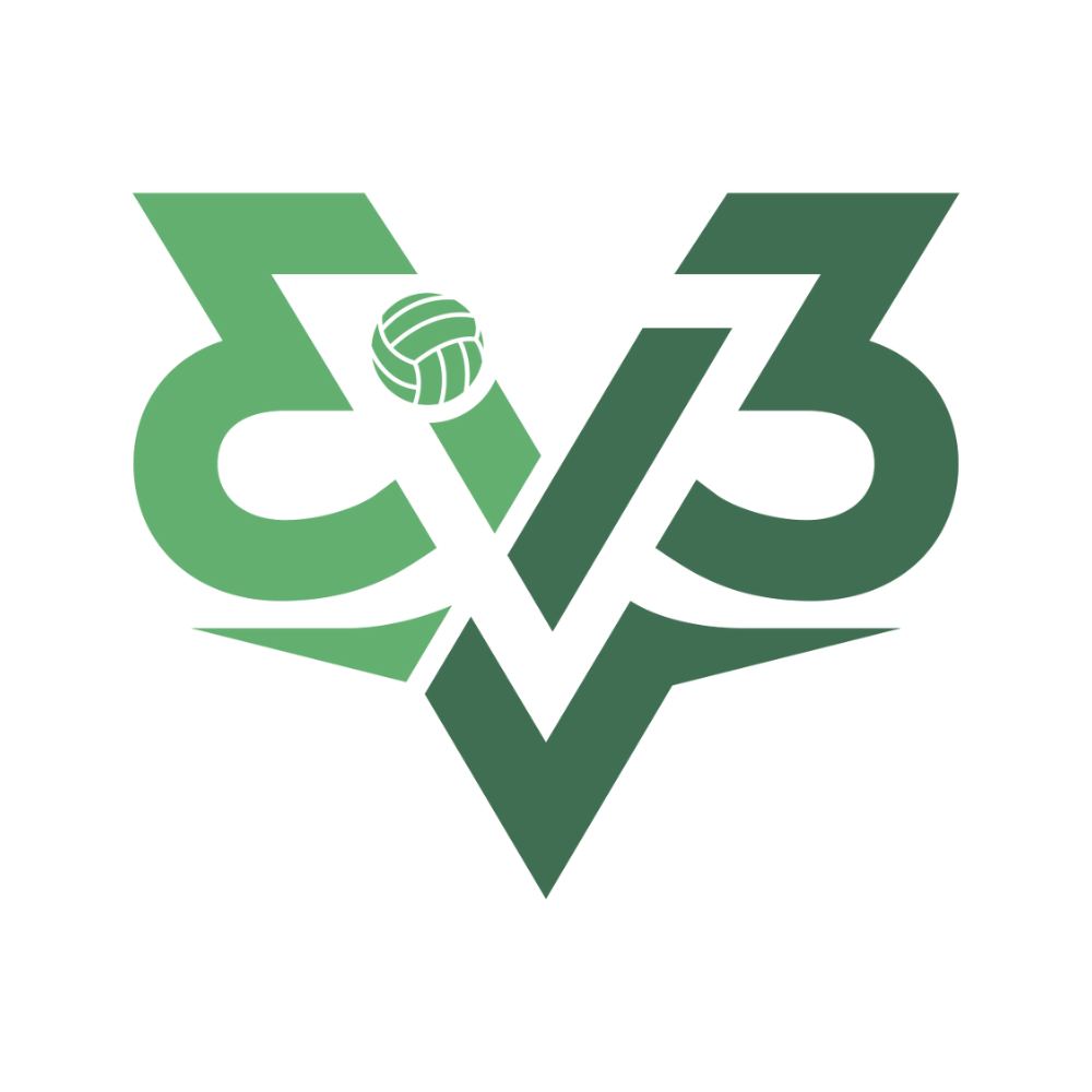 The logo of 3v3, a grass volleyball tournament.