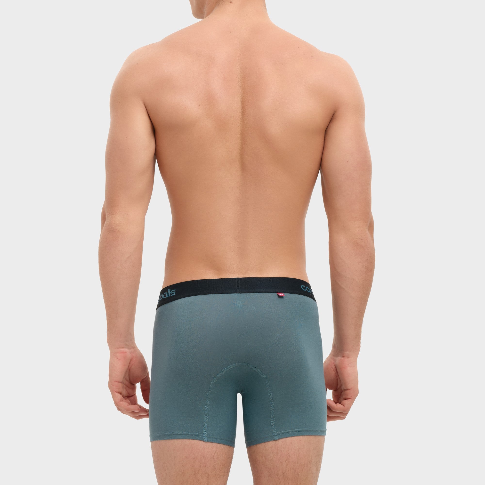 fit:long | qty:1x | menge:1x | Rear view of a man wearing teal-blue boxer briefs with a black waistband on a light gray studio background.