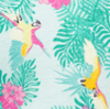 gid://shopify/MediaImage/32224150782207